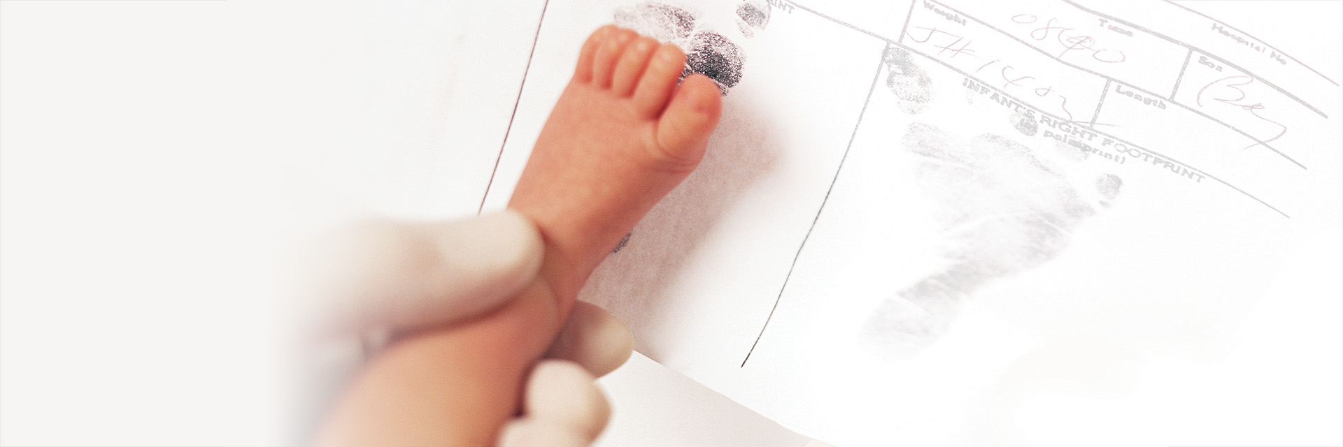Baby's foot on birth certificate