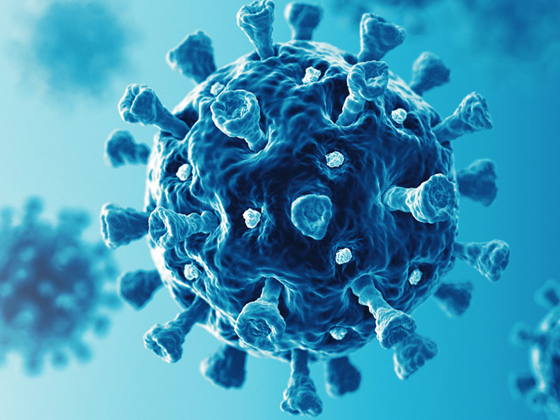 Close up of the COVID-19 Virus - Image courtesy of the CDC
