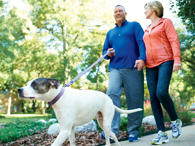 Couple walking dog