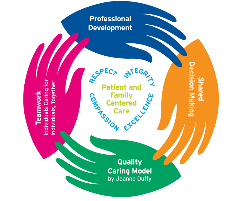 Professional Practice Model image of hands circling each other