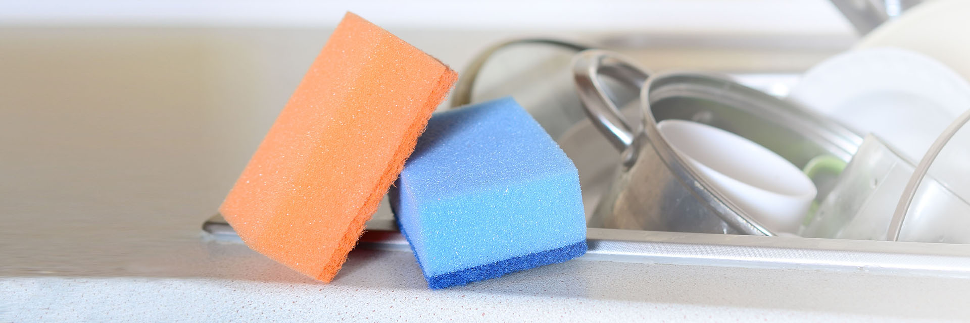 Cleaning sponges sitting on the counter