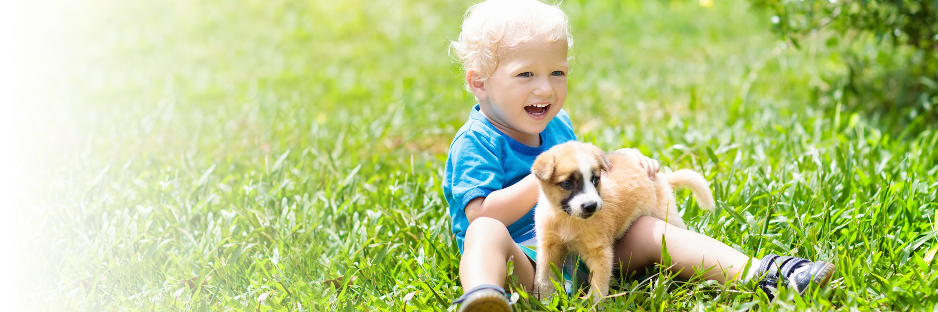Little boy outdoors playing with puppy