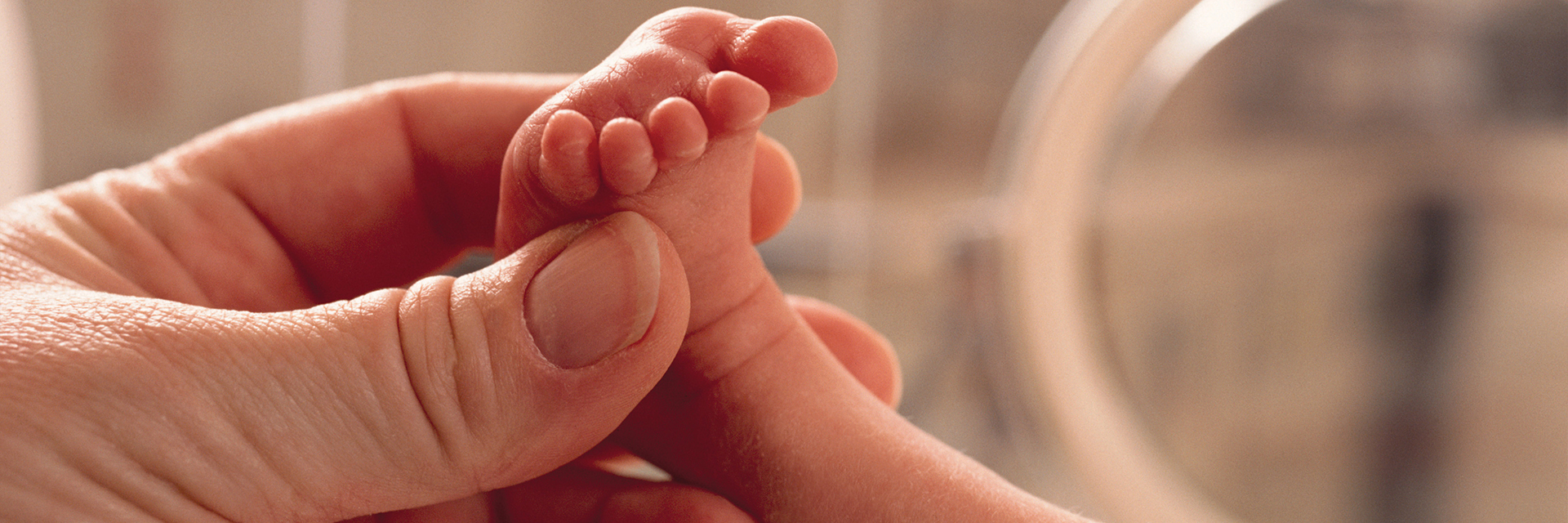 Hand holding newborn foot