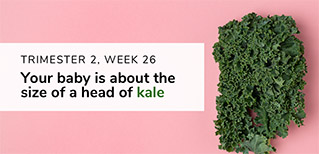 Head of Kale
