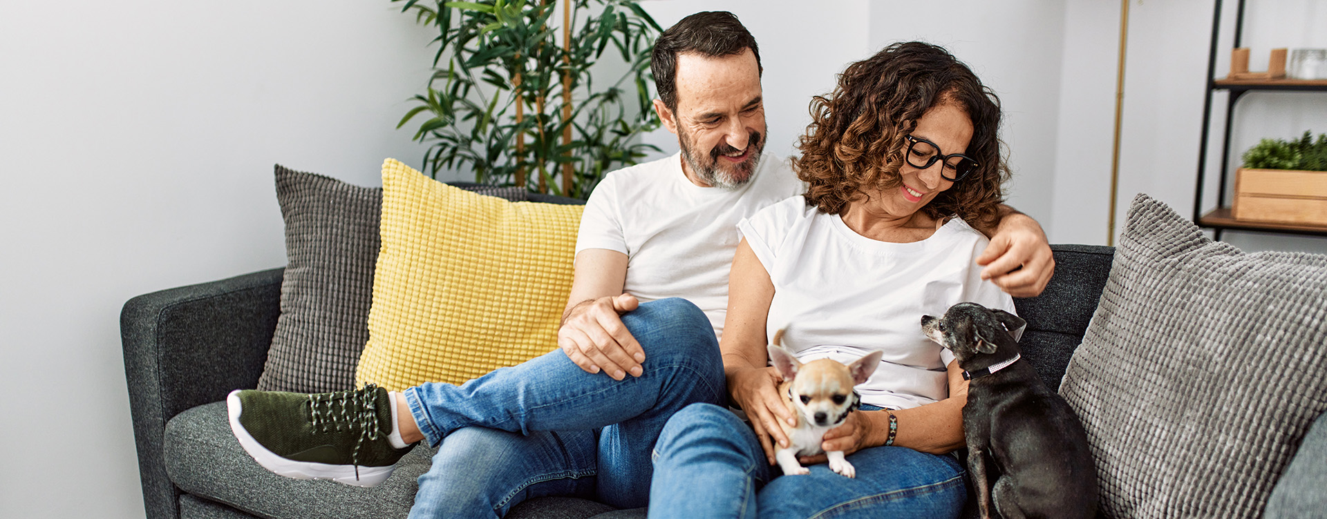 Couple with dogs