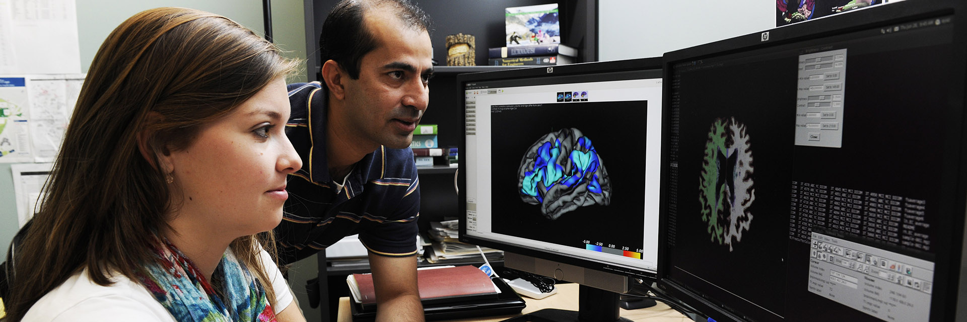 Image from the IEEM brainlab