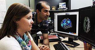Image from the IEEM brainlab