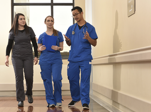 Members of Millennial workforce
