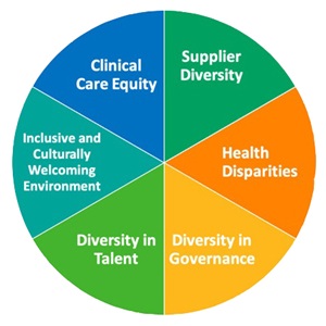 Diversity, Equity and Inclusion graphic