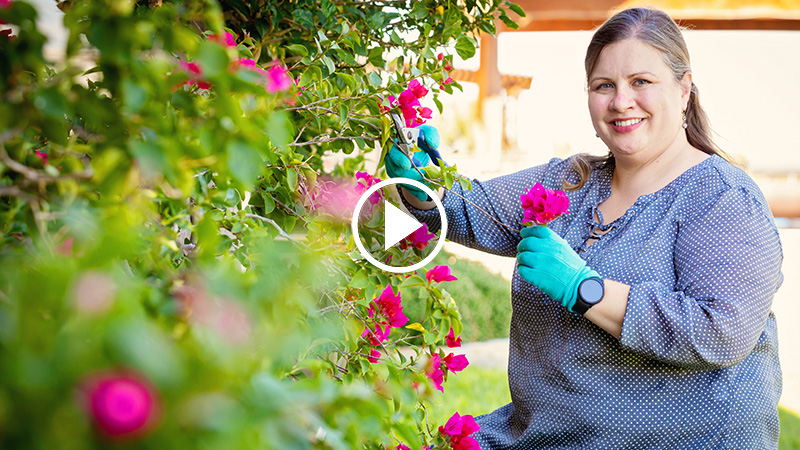 Angie Holmes - Texas Health Hand and Upper Extremity Specialists